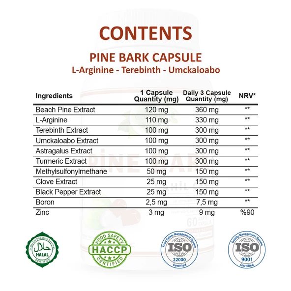 Sahil Çamı Kapsül (PİNE BARK CAPSULE) 60 Adet - Resim 2