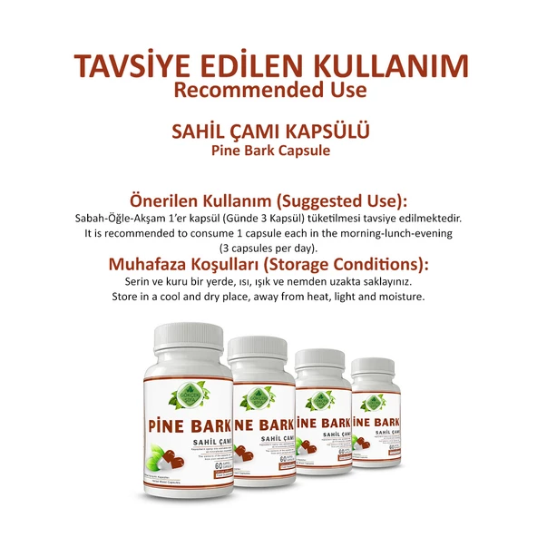 Sahil Çamı Kapsül (PİNE BARK CAPSULE) 60 Adet - Resim 4