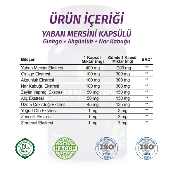 Yaban Mersini Kapsül (Blueberry Capsule) 60 Adet - 3