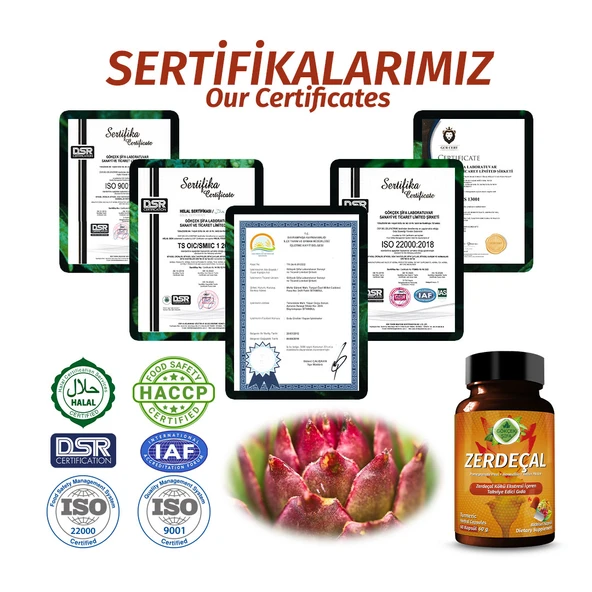 Zerdeçal Kapsül (TURMERİC CAPSULE) 60 Adet - 5