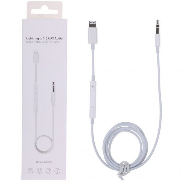 1 Metre Aux Çevirici Apple iPhone Lightning Dönüştürücü Subzero AX45