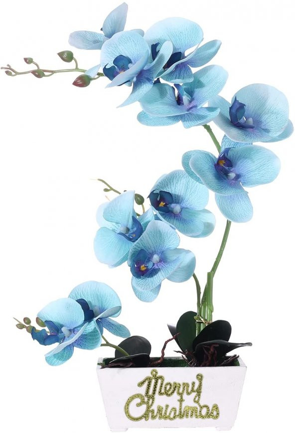 Girist Hayat Orkide Toprağı 3 Lt - 3