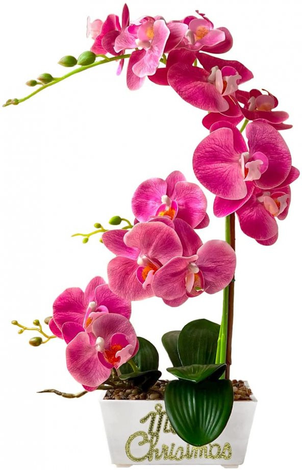 Girist Hayat Orkide Toprağı 3 Lt - 4