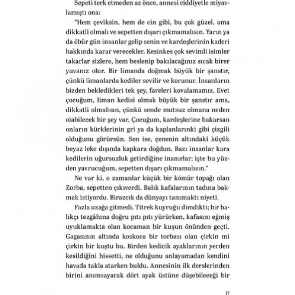 MARTIYA UÇMAYI ÖĞRETEN KEDİ - 8