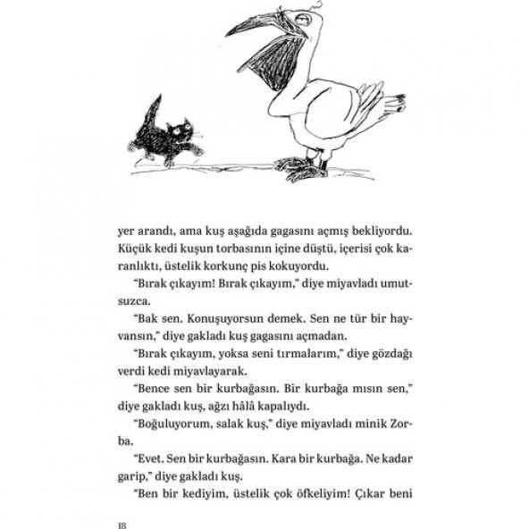 MARTIYA UÇMAYI ÖĞRETEN KEDİ - 9