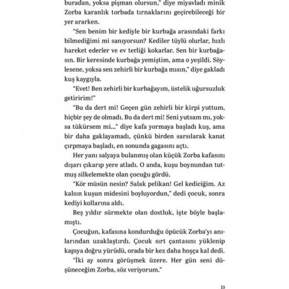 MARTIYA UÇMAYI ÖĞRETEN KEDİ - 10