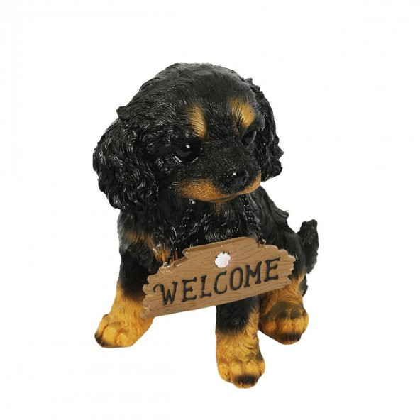 KÖPEK BİBLO WELCOME 24CM