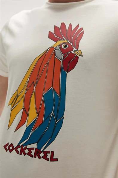 Bad Bear 23.01.07.012-C04 Cockerel Erkek T-Shirt - 5