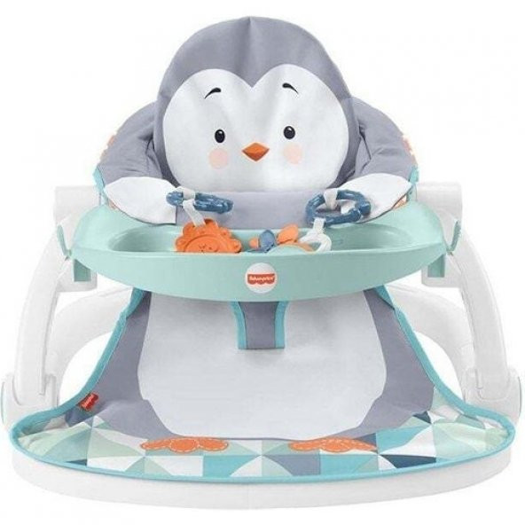 Fisher Price Penguen Ana Kucağı HBF27