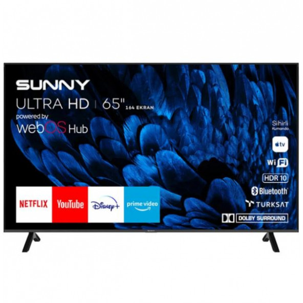 Sunny SN65FMN252 Frameless 4K Ultra HD 65" 165 Ekran Uydu Alıcılı webOS Smart LED TV