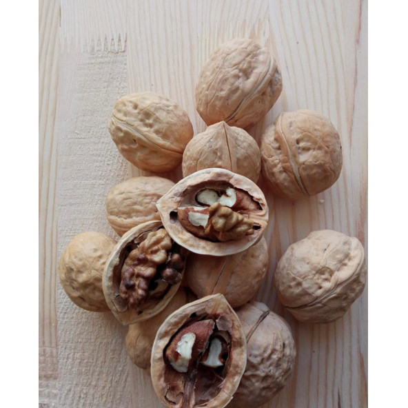 Maraş Aşı Cevizi Randumanlı 1.Sınıf 1 KG