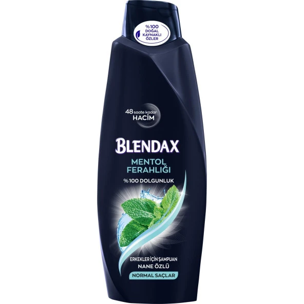 Blendax Men Mentollü 500 Ml 2792063