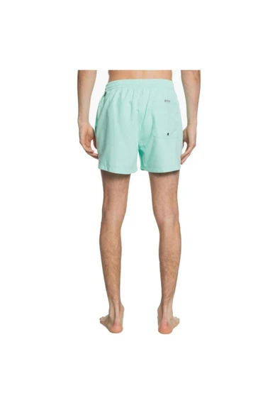 Quiksilver EQYJV03531-GCZ0 Everyday 15 M Jamv Erkek Şort Mayo - Resim 2
