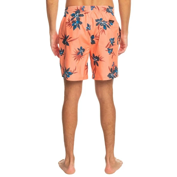 Quiksilver EQYJV04002 Mix 17 M Jamv Erkek Şort Mayo - Resim 6