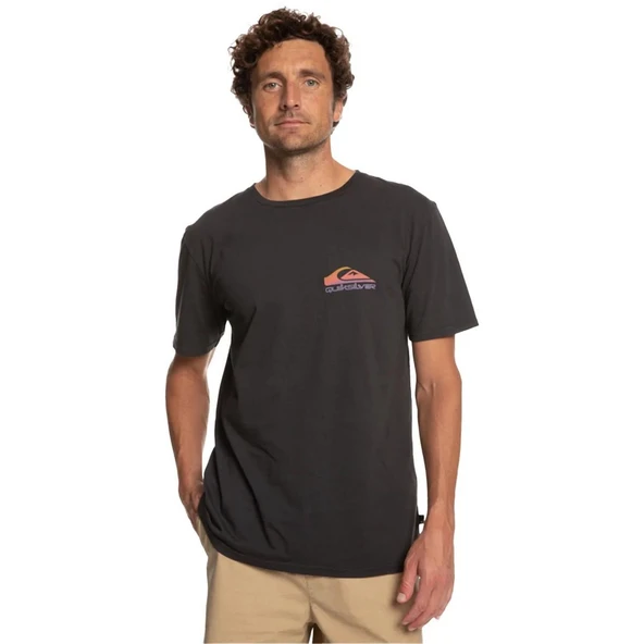 Quiksilver EQYZT07252 Pastimeparadise M Tees Erkek Tişört