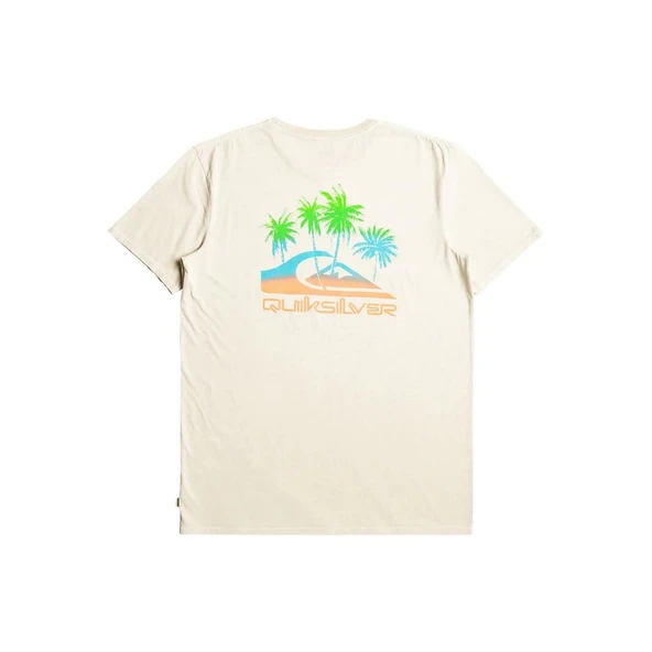 Quiksilver EQYZT07252 Pastimeparadise M Tees Erkek Tişört - 3
