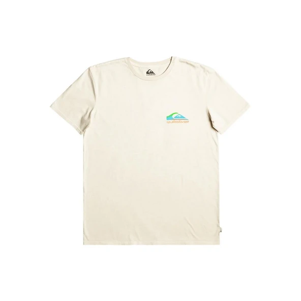 Quiksilver EQYZT07252 Pastimeparadise M Tees Erkek Tişört - 2
