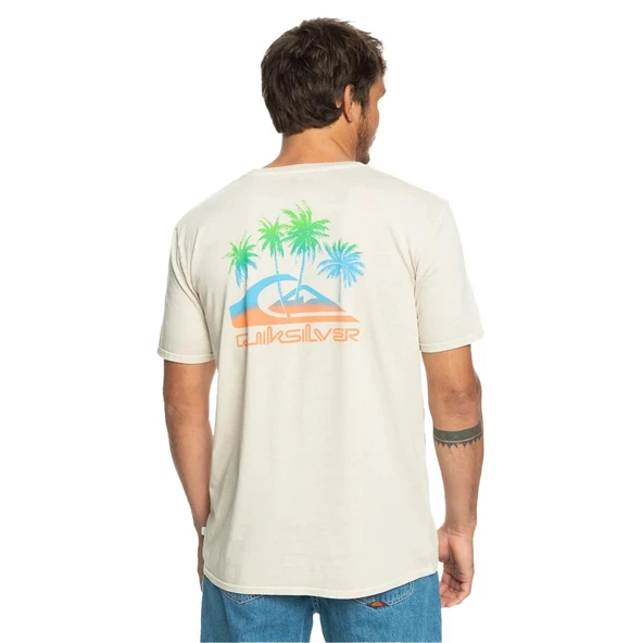Quiksilver EQYZT07252 Pastimeparadise M Tees Erkek Tişört - 6