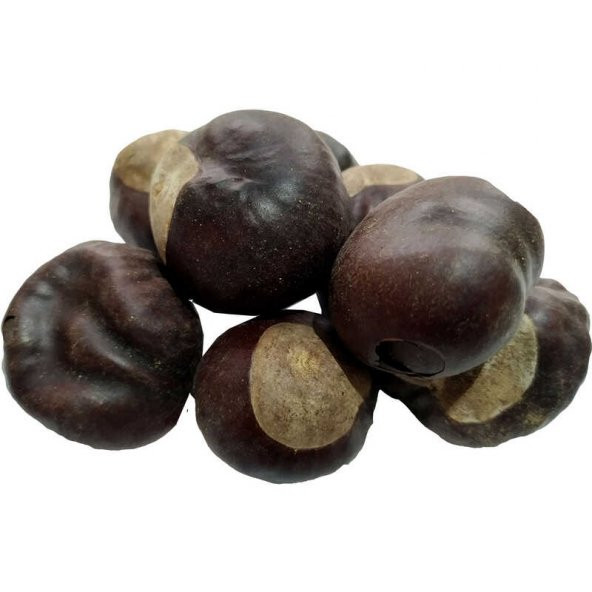 Doğal At Kestanesi Meyvesi 100 Gr Paket - 4