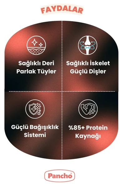 Pancho Tavuklu Yavru Kedi Maması 15 KG - 3