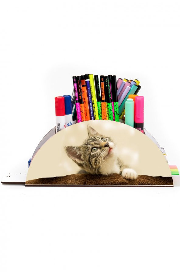 Ahşap VİP Kedi Gökkuşağı Cetvelli Masaüstü Kalemlik Çocuklar İçin Organizer Notpavip123