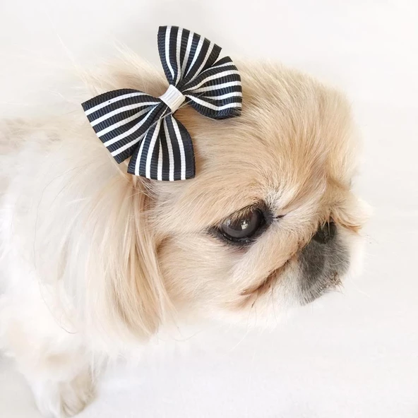 TOKA by Kemique  Stripe Serisi  PEMBE Köpek Tokası - 5