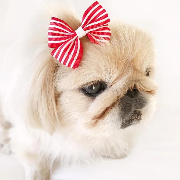 TOKA by Kemique  Stripe Serisi  PEMBE Köpek Tokası - 7