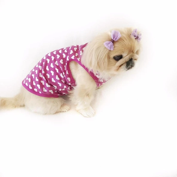 PURPLE HEARTS ATLET  by Kemique Köpek Kıyafeti  Köpek Elbisesi - 6