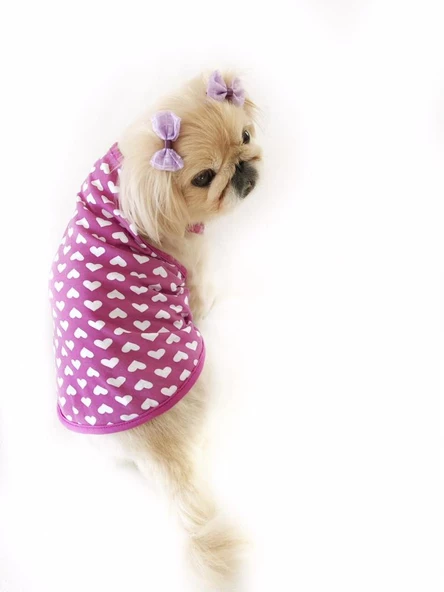 PURPLE HEARTS ATLET  by Kemique Köpek Kıyafeti  Köpek Elbisesi - 3