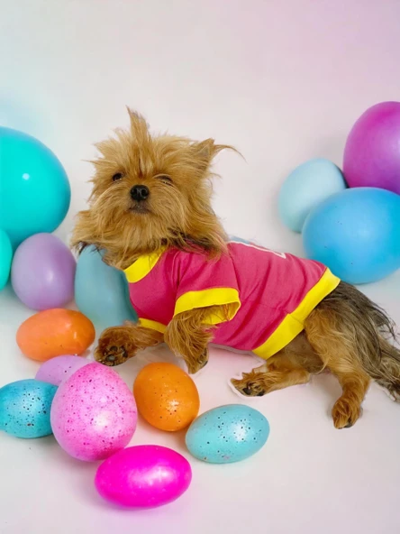 Hediye Paketli, Anneler Günü, I Love Mom Pink,Oval Yaka Tişört Köpek Kıyafeti,Elbisesi Anneler Günü, Anneye, Anne - 8