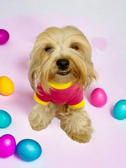 Hediye Paketli, Anneler Günü, I Love Mom Pink,Oval Yaka Tişört Köpek Kıyafeti,Elbisesi Anneler Günü, Anneye, Anne - 6