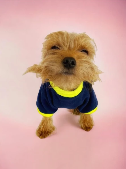 Hediye Paketli, Anneye Hediye, Love Mom Neon, Oval Yaka Tişört Köpek Kıyafeti,Elbisesi, Anneler Günü, Anne - 4