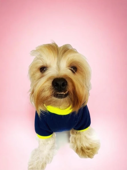 Hediye Paketli, Anneye Hediye, Love Mom Neon, Oval Yaka Tişört Köpek Kıyafeti,Elbisesi, Anneler Günü, Anne - 5