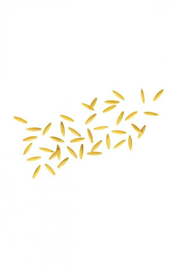 Arpa Şehriye/ Risoni 500 gr - 2