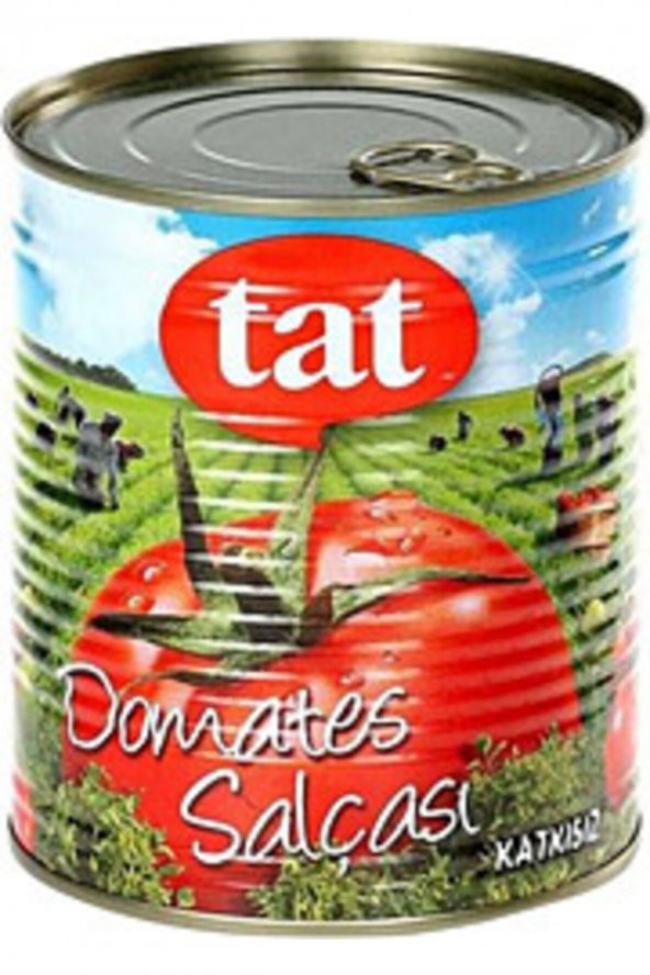 TAT SALÇA DOMATES 830GR(TNK)