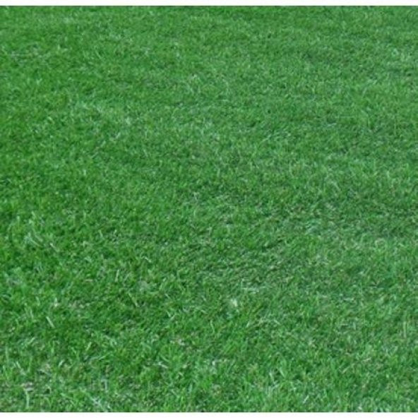 Çim Coşturan Granül Çim Gübresi 10 kg - 3