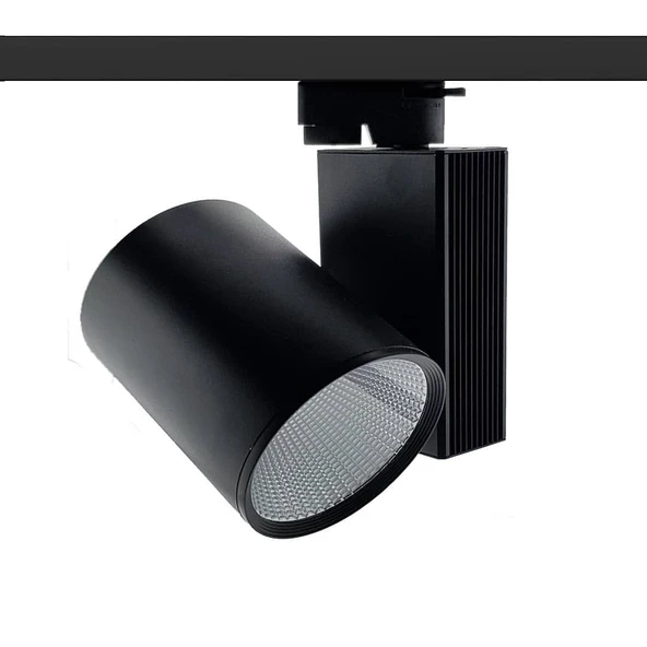 30W RAY SPOT ürün görseli