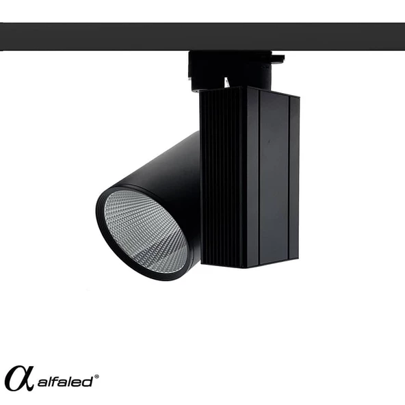 30W RAY SPOT - 3