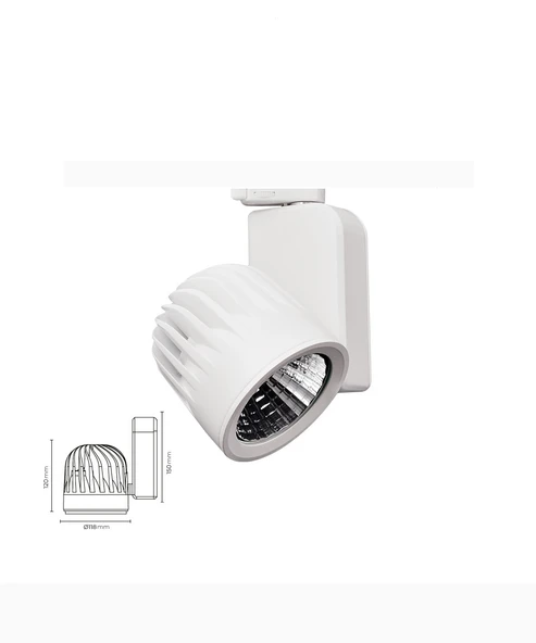 30W RAY SPOT ürün görseli