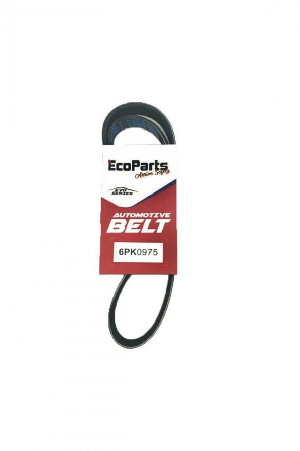 Ford Focus 2004-2012 Dizel V Kayışı Ecop-6pk 975