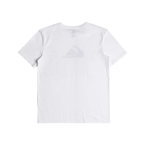 Quıksılver COMPLOGO M TEES Erkek T-shırt EQYZT06534-WBB0 - Resim 3