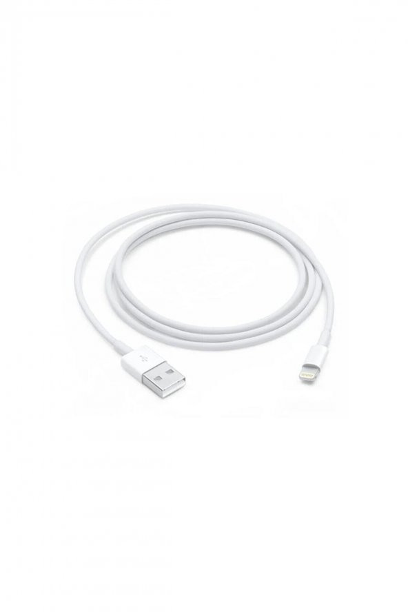 Apple iPhone Lightning to USB Cable (1M) - MXLY2ZM/A (Apple Türkiye Garantili)