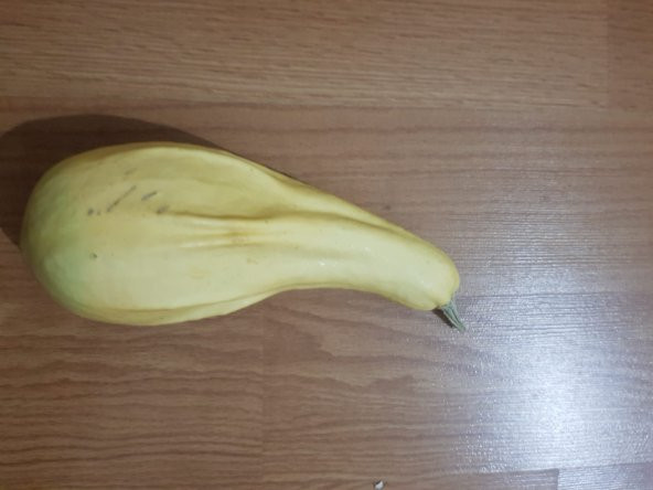 Minyatür yeşil süs kabağı 10 adet