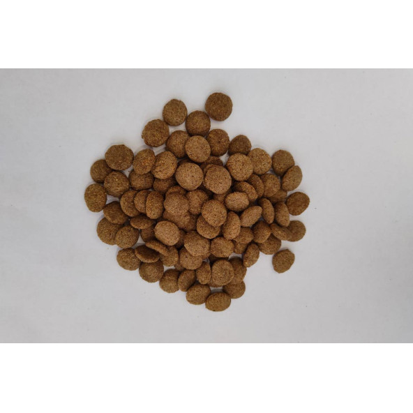 Pancho Extra Kuzu Etli Yetişkin Köpek Maması 15 KG - 2