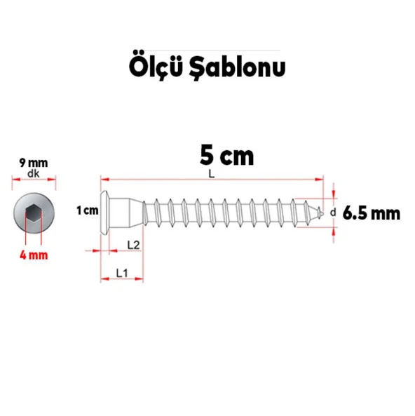 Silindir Vida Allen Başlı Kabin Vidası 6.5x50 10 Adet - Resim 3