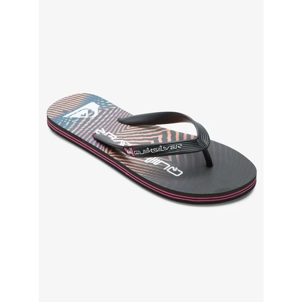Quiksilver Molokai Wordblock Erkek Terlik AQYL101287