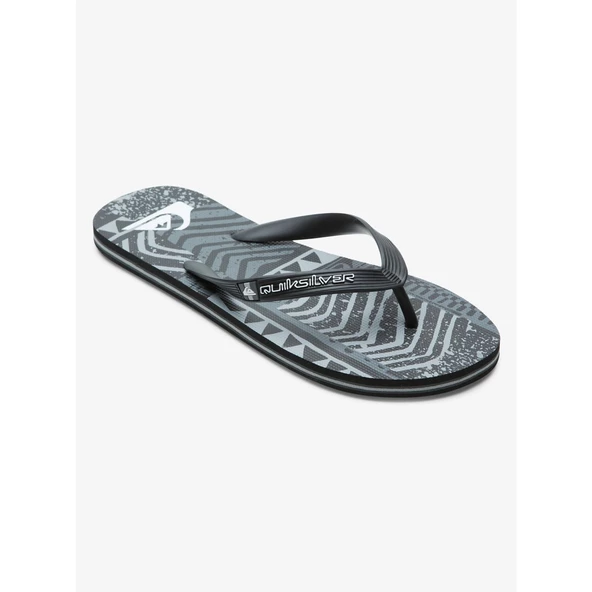 Quiksilver MOLOKAI ART Erkek Terlik AQYL101264-QK.XKKS
