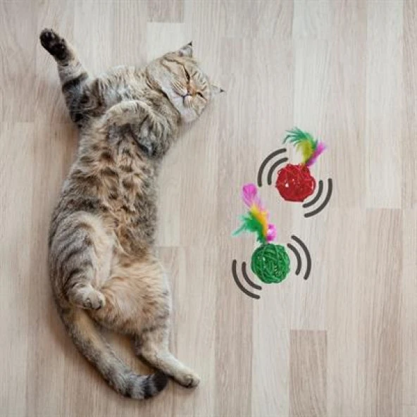 2li Rattan Renkli Peluş Tüy Kedi Köpek Oyuncak Yakalama Çiğneme Çıngıraklı Top Oyuncağı