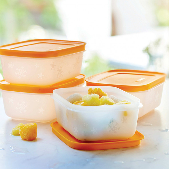 Tupperware Alaska Serisi Derin Dondurucu Saklama Kabı 4Lü Set - 2