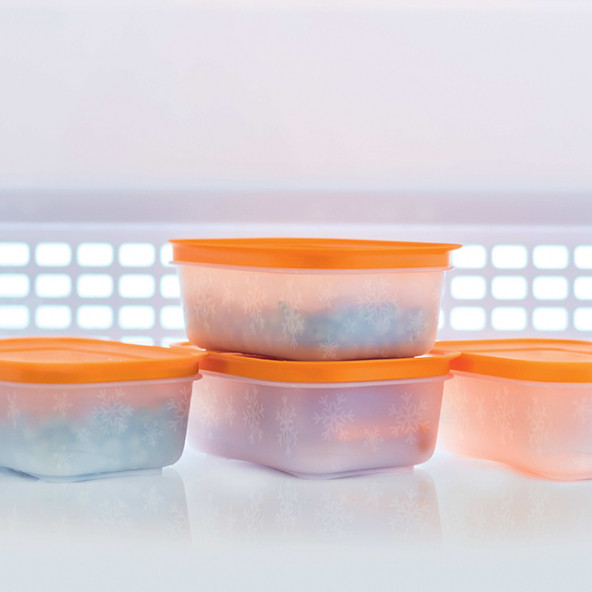 Tupperware Alaska Serisi Derin Dondurucu Saklama Kabı 4Lü Set - 4